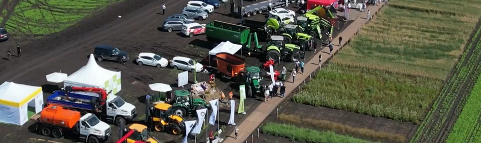 Программа "О хлебе насущном": как в Красноярском крае прошел «День поля»