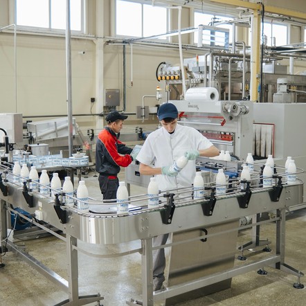 Программа "Знак земли": развитие в крае пищевой и перерабатывающей промышленности