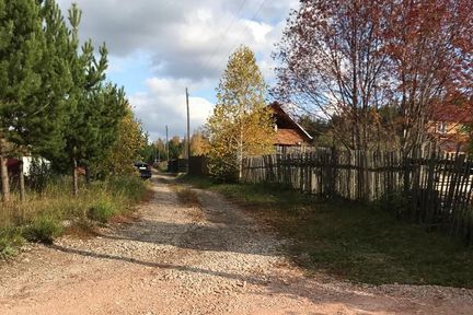 Дороги, свет и вода: для садовых обществ Красноярского края стартовал конкурс грантов