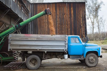 В Красноярском крае дополнительно поддержат производителей зерновых