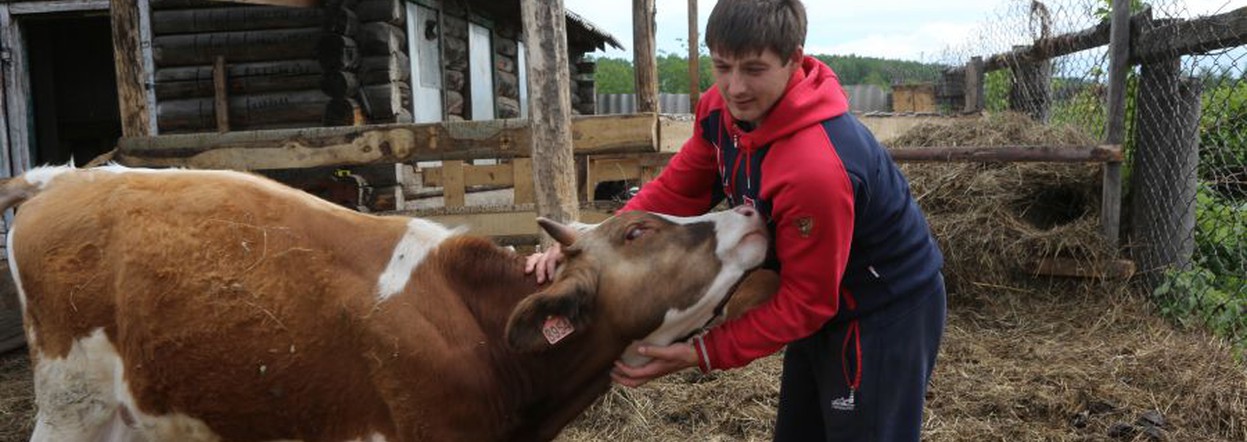 Фермеры Красноярского края могут получить до 8 миллионов на открытие своего дела