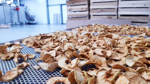 Программа "О хлебе насущном": деревня для телят и производство сушеных овощей и фруктов