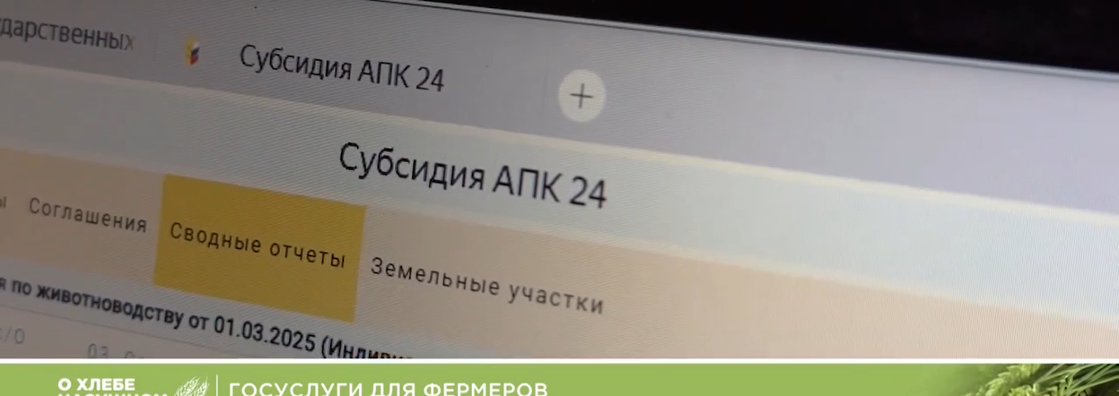 Цифровой сервис для аграриев — какие плюсы отмечают пользователи сервиса «Субсидия АПК 24» и что говорят специалисты?