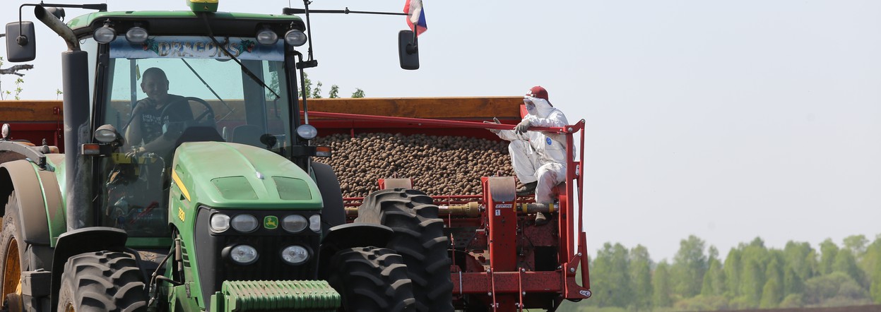 Аграрии Красноярского края получат на производство овощей и картофеля более 51 миллиона рублей господдержки