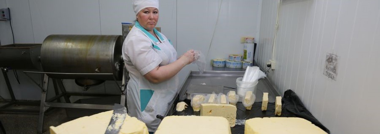 От поля до прилавка: фермеры Красноярского края получат гранты на производство молочной и мясной продукции