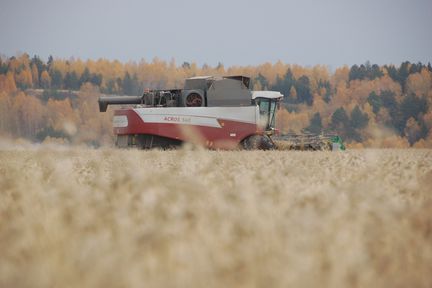 Красноярский край в 2021 году экспортировал продукции АПК на 32 миллиона долларов