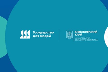 Господдержка онлайн: для аграриев в Красноярском крае внедрили цифровой сервис