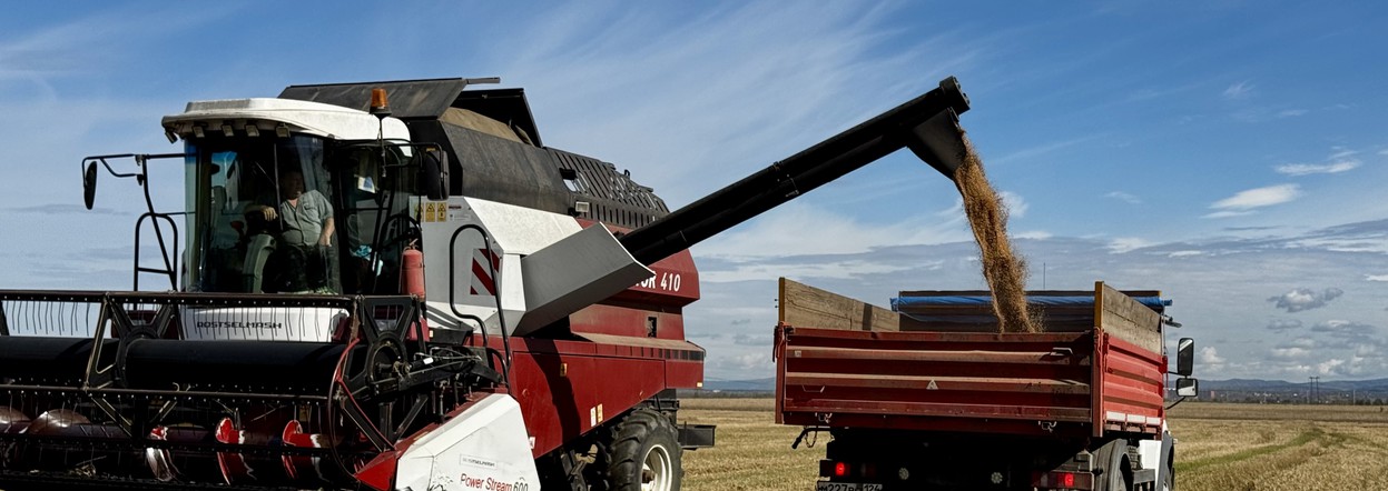 Аграрии Красноярского края завершили уборочную