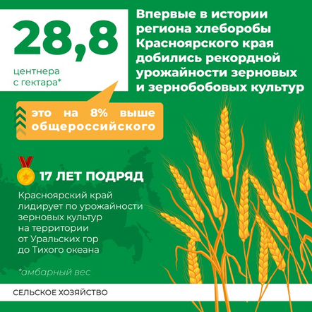 О некоторых итогах 2020 года в агропромышленном комплексе Красноярского края