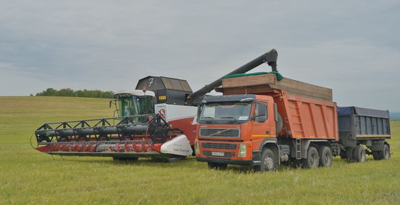 Хлеборобы Красноярского края намолотили два миллиона тонн зерна