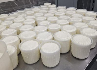 Программа "Знак земли": об амбициях получателей гранта "Региональный продукт" и механизме его получения