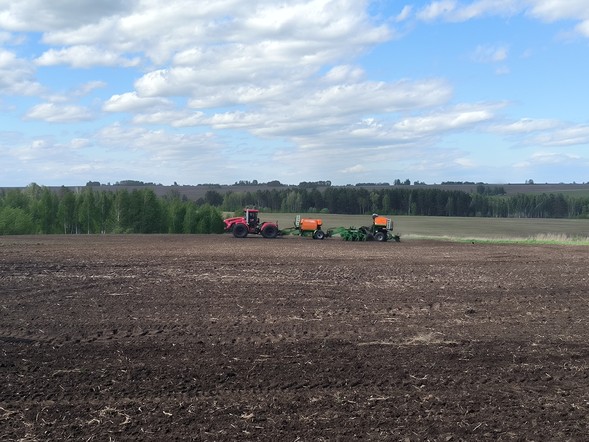 Посевная в Красноярском крае выполнена более чем на 80 процентов