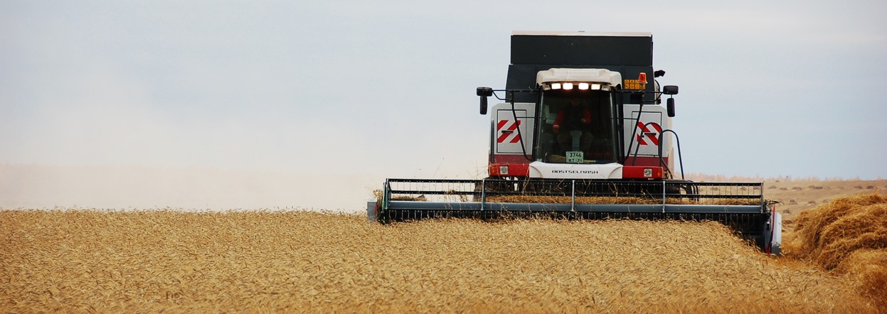 Аграрии Красноярского края собрали 2,8 миллиона тонн зерна