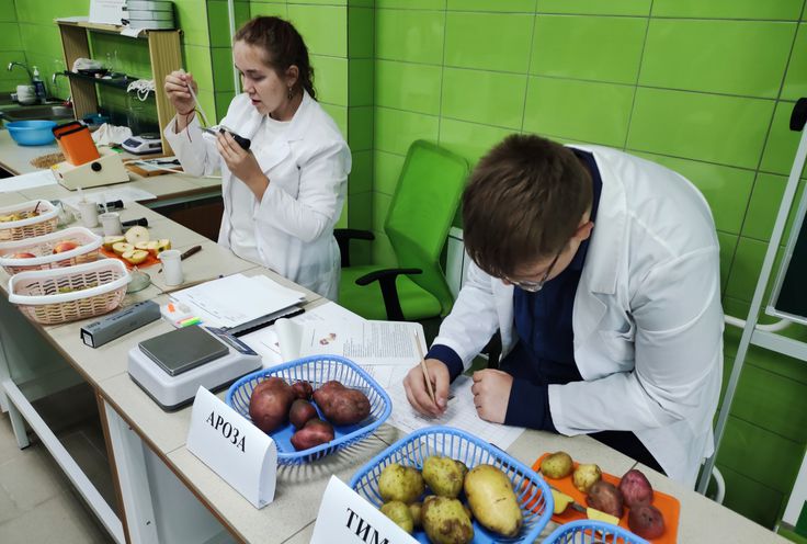 Система профтехобразования в крае возвращает себе лидерство в предпочтениях выпускников