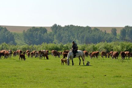 Сельхозкооперативы Красноярского края получили по нацпроекту 29,5 миллиона господдержки