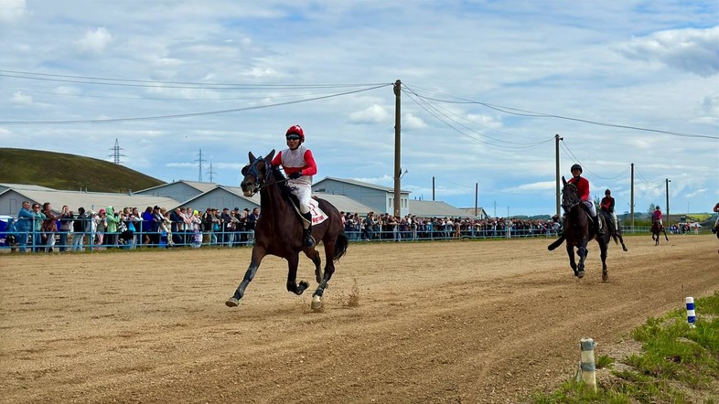 Лучшим сельским конникам Красноярского края вручили кубки и ключи от автомобилей