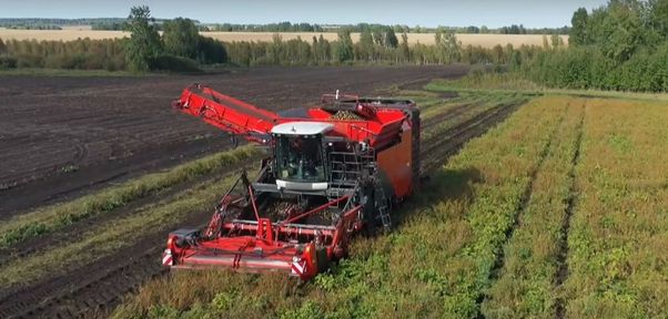 Программа "О хлебе насущном": самая большая картофелекопалка в крае
