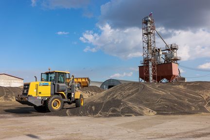 Производители масличных культур в крае получат 51,5 миллиона рублей