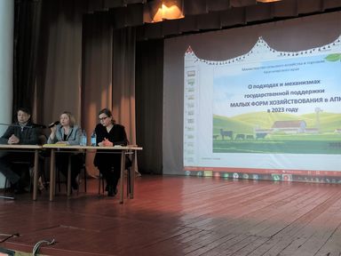 Малые сельхозпроизводители Красноярского края получат от государства 1,6 миллиарда рублей