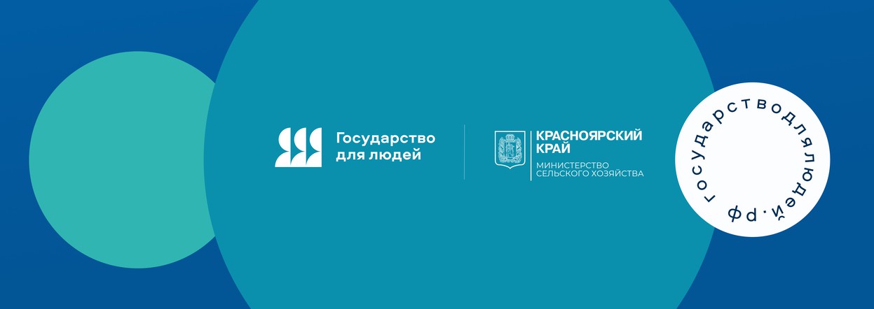 Господдержка онлайн: для аграриев в Красноярском крае внедрили цифровой сервис