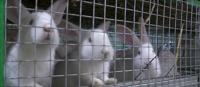 Программа "О хлебе насущном" (23.10.2021)