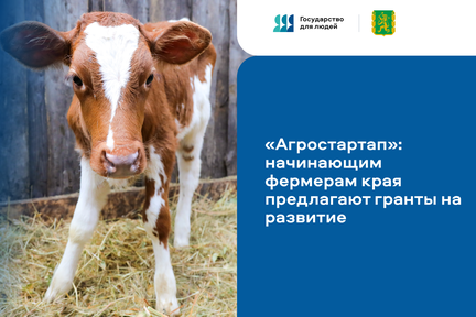 «Агростартап»: начинающим фермерам предлагают гранты на развитие