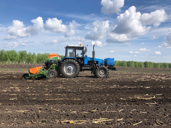 Аграрии Красноярского края выполнили треть плана посевной