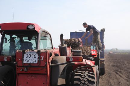 Восемь сельхозкооперативов Красноярского края получили поддержку по нацпроекту