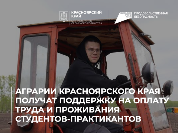 Аграрии Красноярского края получат поддержку на оплату труда и проживания студентов-практикантов