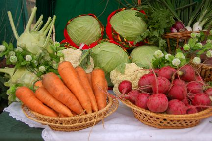 В Шушенском районе пройдет День овощного поля