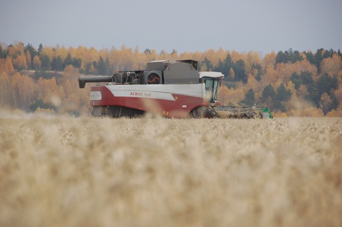 Красноярский край в 2021 году экспортировал продукции АПК на 32 миллиона долларов