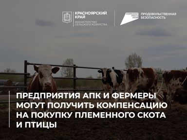 Предприятия АПК и фермеры могут получить компенсацию на покупку племенного скота и птицы