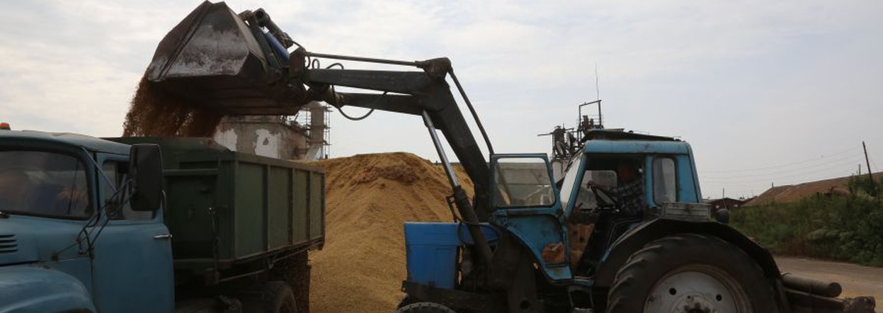 Два краевых сельхозкооператива на гранты построят зерносклад и цех по переработке мясной продукции