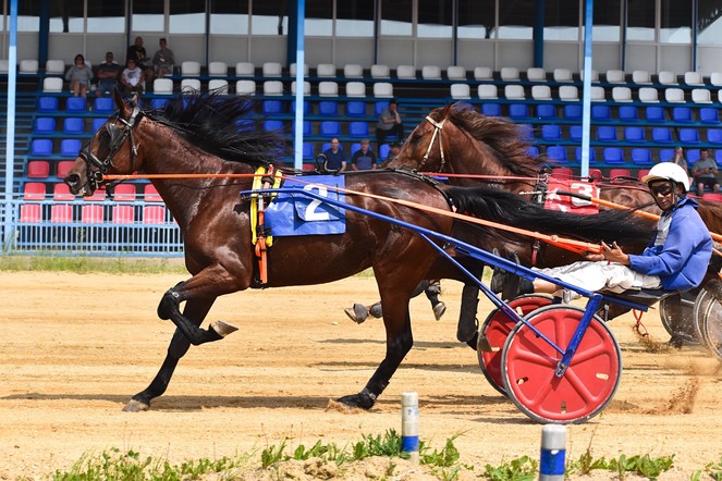В Емельяново выберут лучшую сельскую команду конников Красноярского края