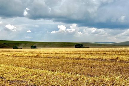 Михаил Котюков: В регионе есть все необходимое, чтобы масштабировать применение беспилотников в сельском хозяйстве