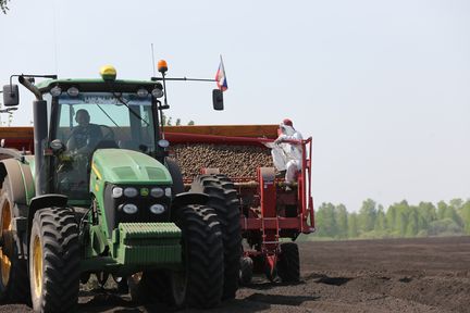 Аграрии Красноярского края получат на производство овощей и картофеля более 51 миллиона рублей господдержки