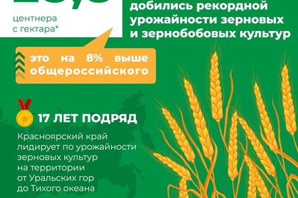 О некоторых итогах 2020 года в агропромышленном комплексе Красноярского края