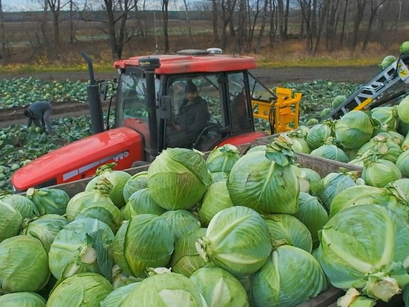 Праздник трудовых рекордов
