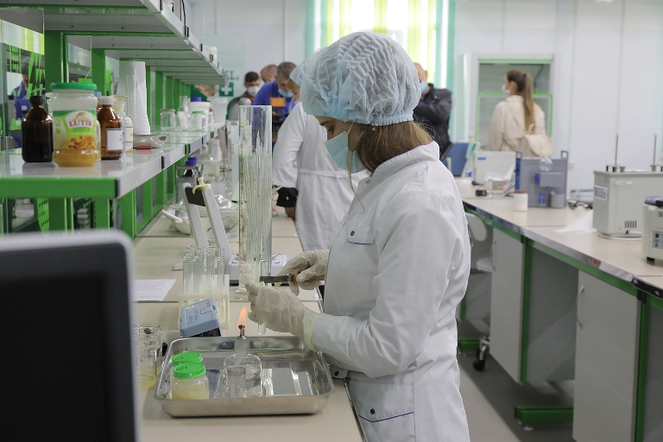 Краевым аграриям возместят затраты на оплату труда и проживания студентов-практикантов