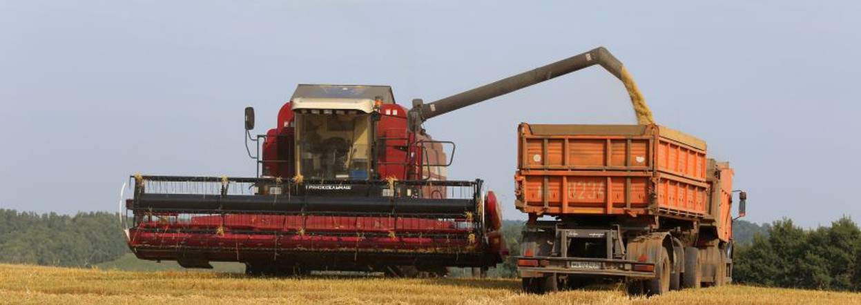 За пять лет аграрии Красноярского края в 4,5 раза увеличили площади застрахованных посевов