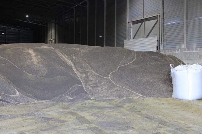 Стартует приём заявок на софинансирование транспортных расходов при экспорте продукции АПК