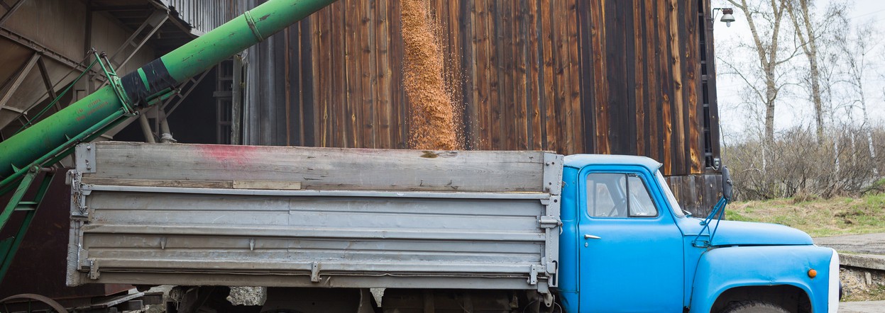 В Красноярском крае дополнительно поддержат производителей зерновых