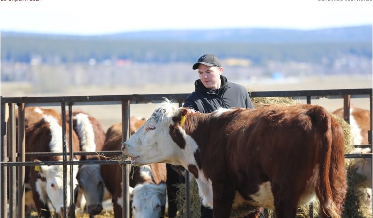 Фермеров и сельхозкооперативы Красноярского края поддержат грантами и субсидиями