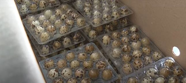 Программа "О хлебе насущном" (22.01.2022)