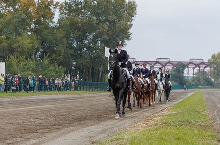 Захватывающее зрелище для любителей конноспортивных состязаний в Красноярске!
