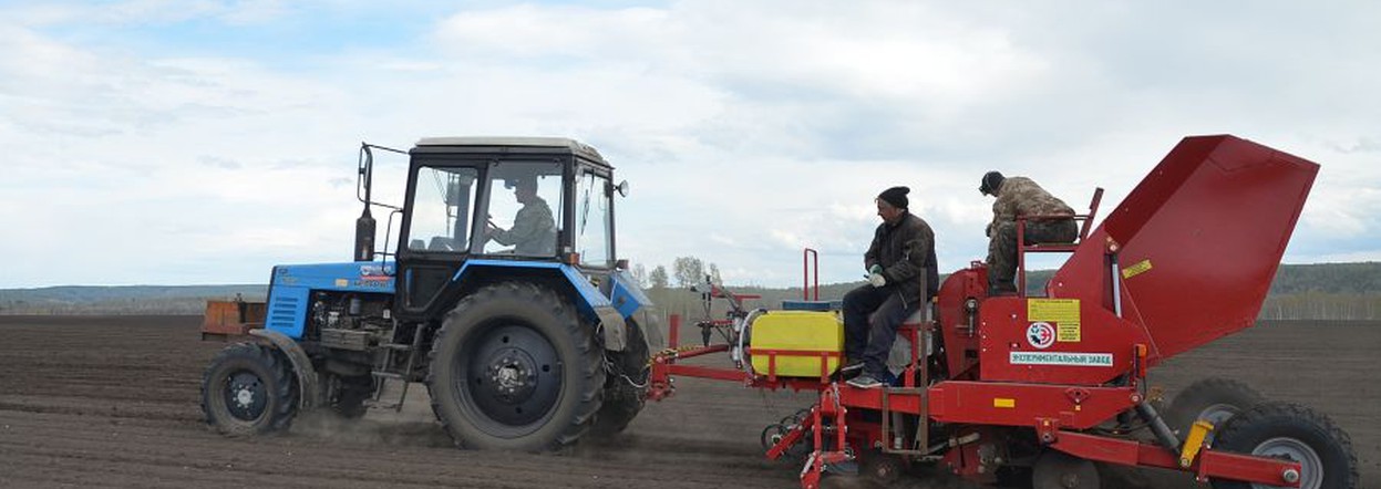 В Красноярском крае гранты до 8 миллионов рублей получат 14 начинающих фермеров