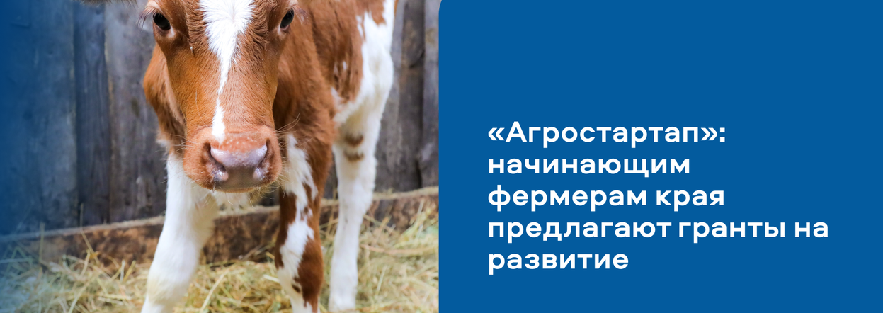 «Агростартап»: начинающим фермерам предлагают гранты на развитие