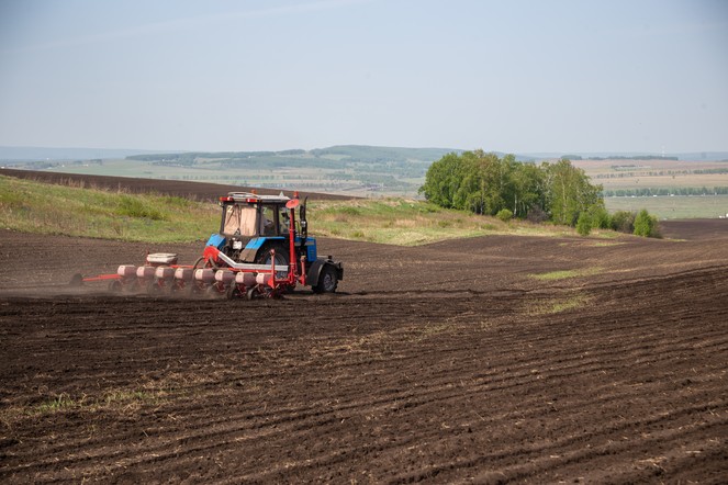 Новые условия поставки минеральных удобрений: Санкт-Петербургская биржа расширяет возможности для аграриев.