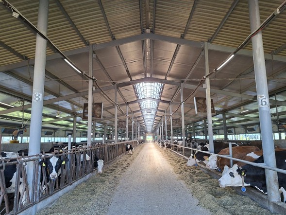 Субсидии для аграриев: край компенсирует часть затрат на инвестпроекты