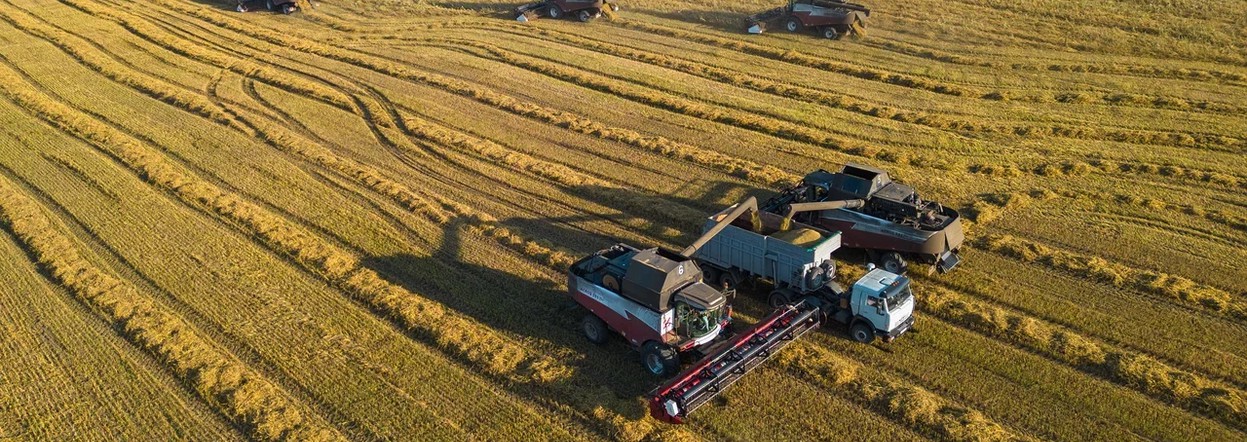 Хлеборобы Красноярского края собрали первый миллион тонн зерна